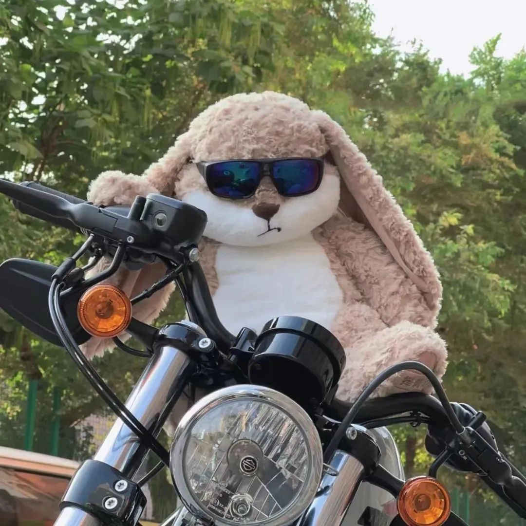 Angry Rabbit Plushie