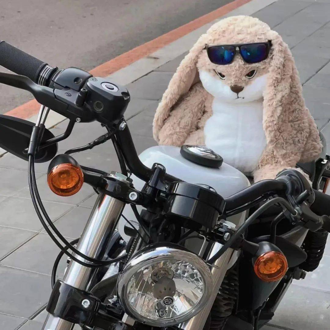 Angry Rabbit Plushie